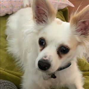 Meet your Posher, Tia